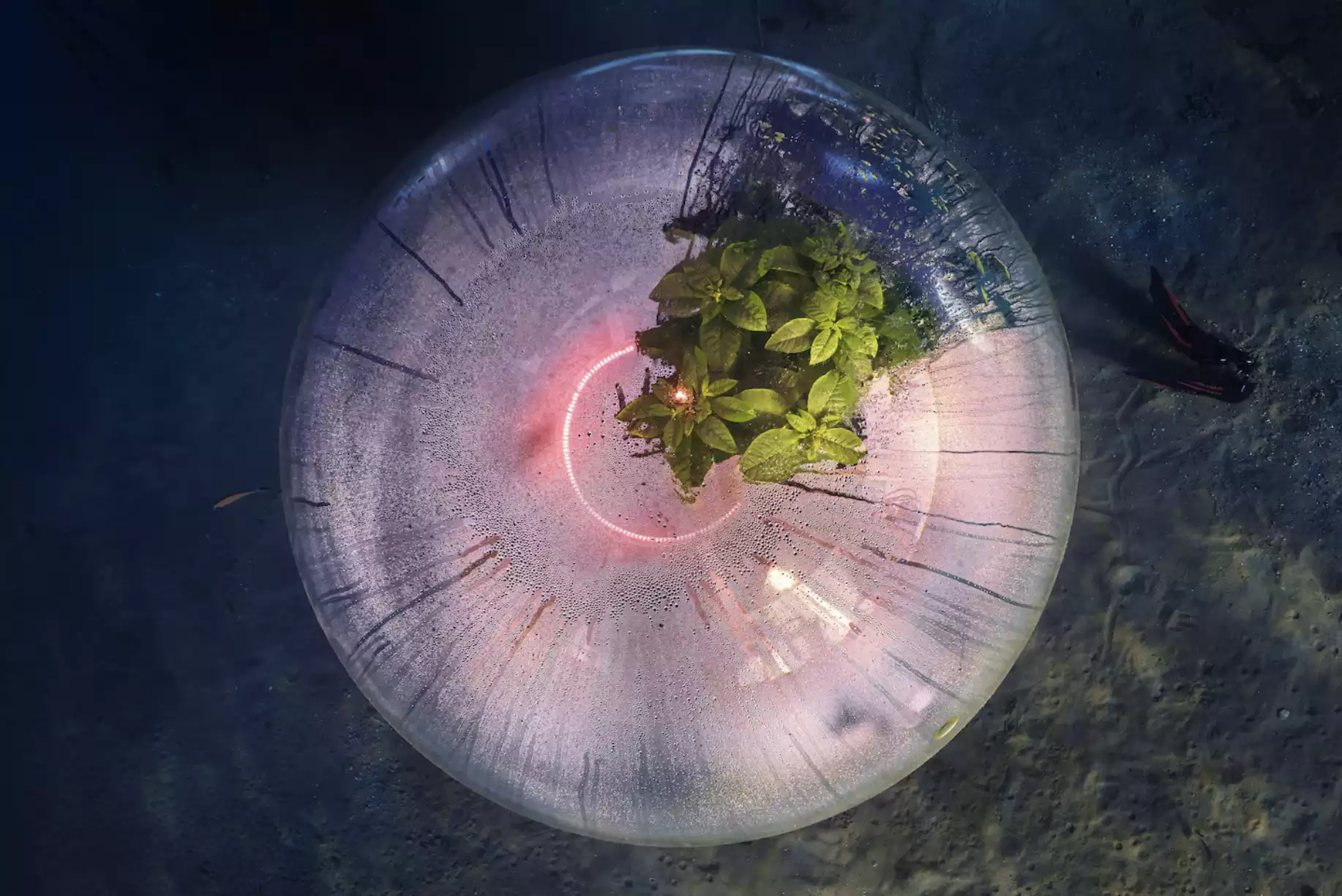 Underwater greenhouse top view