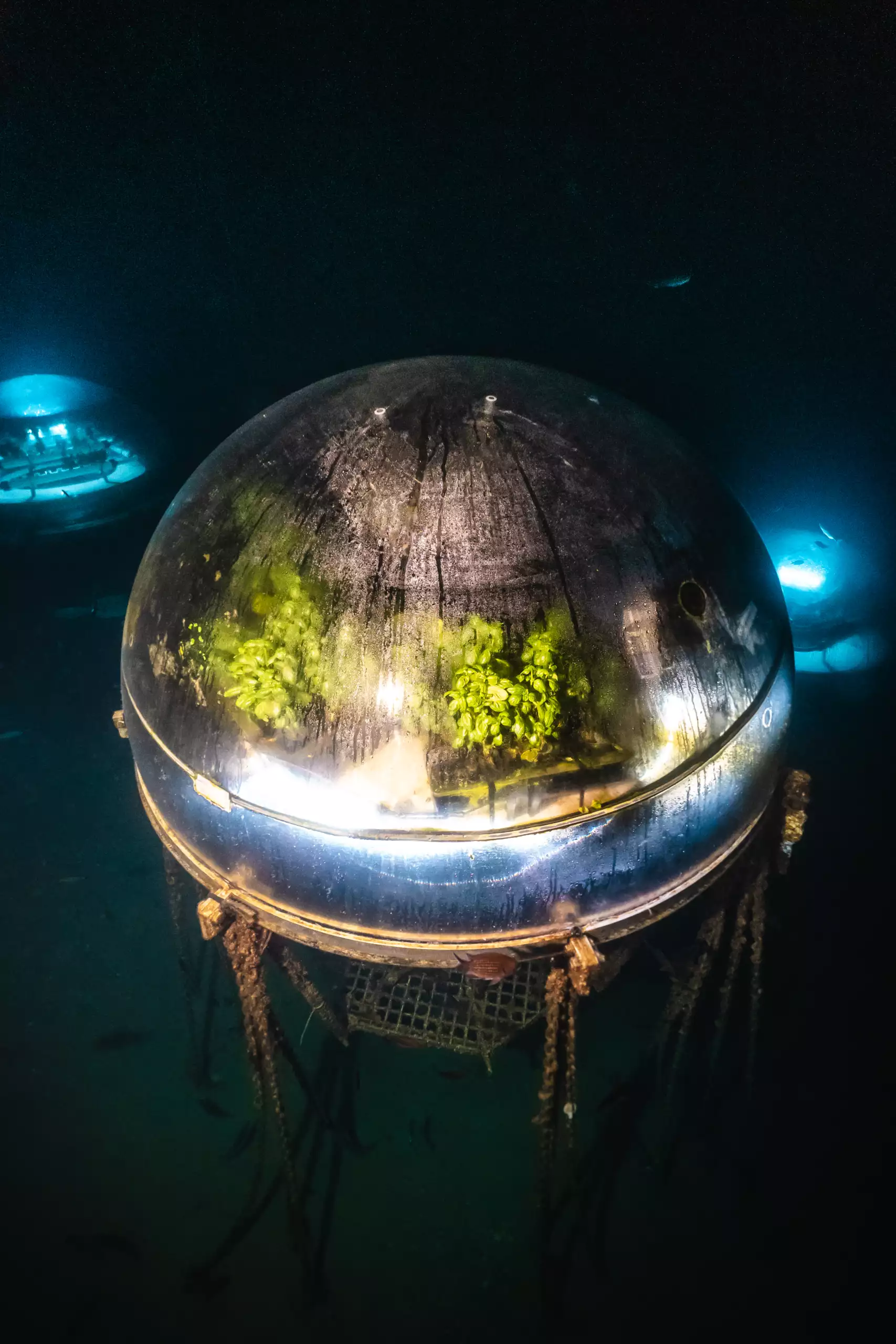 Underwater greenhouse by night