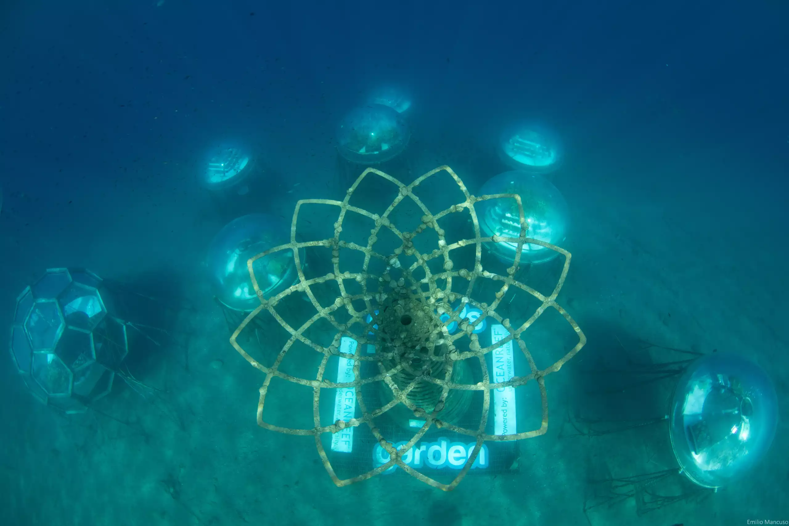 Nemo's Garden Pilot Plant top view